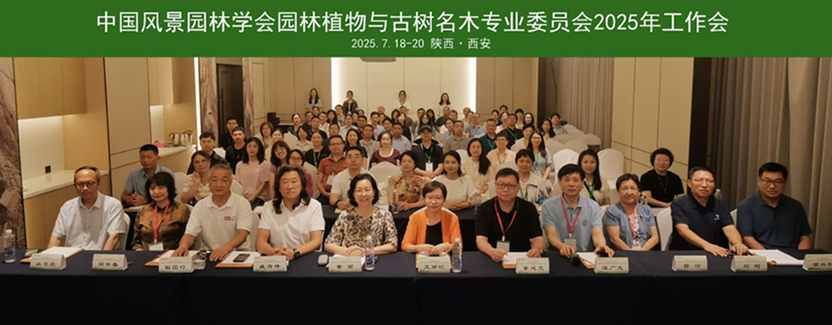 首页| CA88集团中国唯一官方网站
