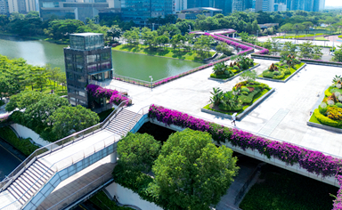 佛山物业都会项目时花采购及配套效劳